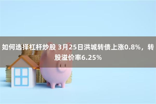 如何选择杠杆炒股 3月25日洪城转债上涨0.8%，转股溢价率6.25%
