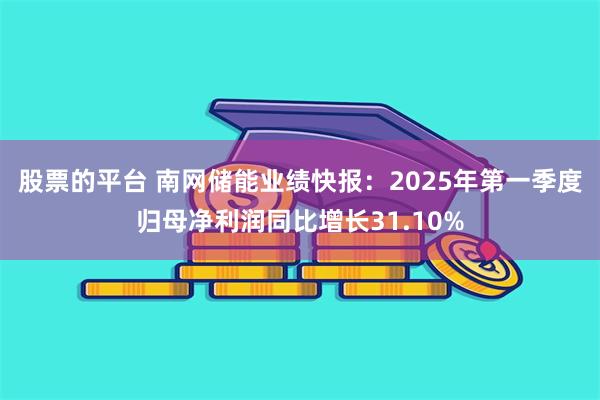 股票的平台 南网储能业绩快报：2025年第一季度归母净利润同比增长31.10%