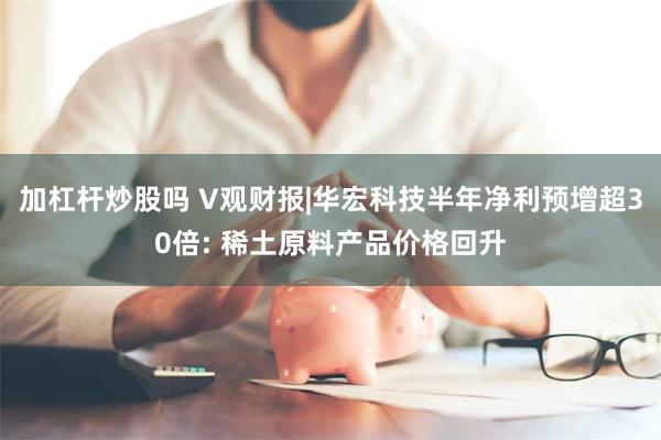 加杠杆炒股吗 V观财报|华宏科技半年净利预增超30倍: 稀土原料产品价格回升