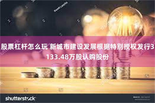 股票杠杆怎么玩 新城市建设发展根据特别授权发行3133.48万股认购股份
