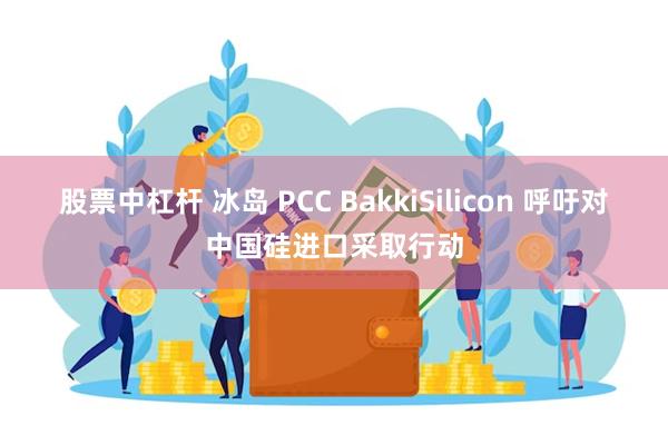 股票中杠杆 冰岛 PCC BakkiSilicon 呼吁对中国硅进口采取行动