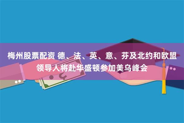 梅州股票配资 德、法、英、意、芬及北约和欧盟领导人将赴华盛顿参加美乌峰会