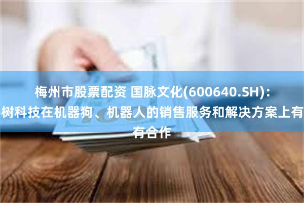 梅州市股票配资 国脉文化(600640.SH)：与宇树科技在机器狗、机器人的销售服务和解决方案上有合作